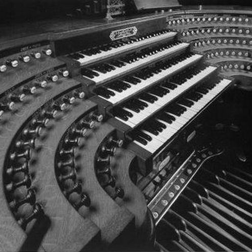 Instrument des Jahres