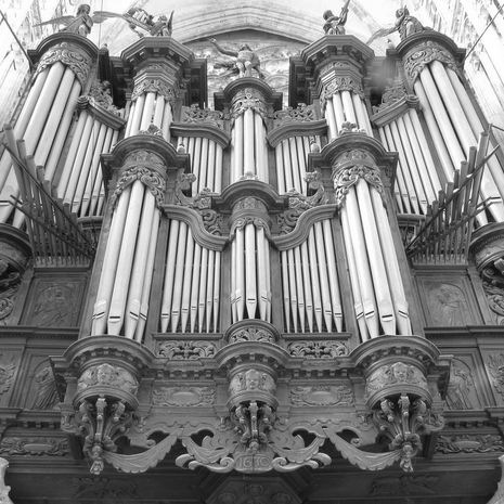 Instrument des Jahres